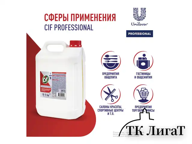 Средство для удаления ржавчины и известкового налета 5 л, CIF PROFESSIONAL, кислотное