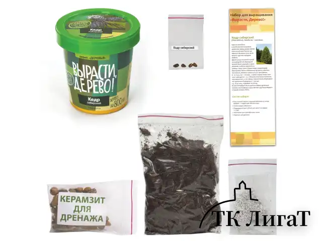 Набор для выращивания растений ВЫРАСТИ ДЕРЕВО! "Кедр Сибирский" (банка, грунт, семена), zk-001