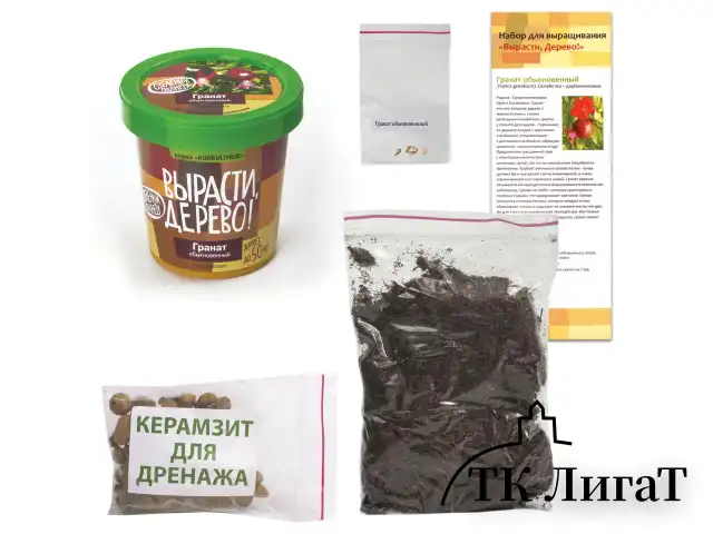Набор для выращивания растений ВЫРАСТИ ДЕРЕВО! "Гранат обыкновенный" (банка, грунт, семена), zk-014