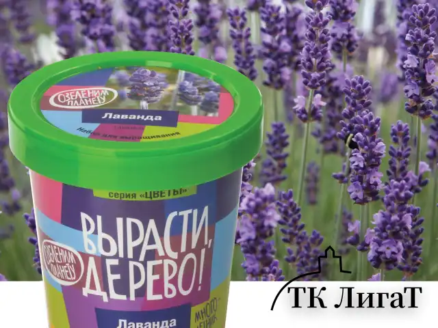Набор для выращивания растений ВЫРАСТИ ДЕРЕВО! "Лаванда" (банка, грунт, семена), zk-030