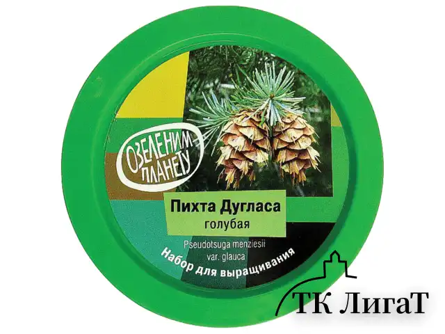 Набор для выращивания растений ВЫРАСТИ ДЕРЕВО! "Пихта Дугласа голубая" (банка, грунт, семена), zk-069