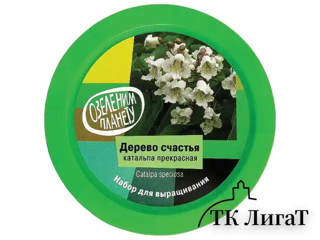 Набор для выращивания растений ВЫРАСТИ ДЕРЕВО! "Дерево счастья Катальпа" (банка, грунт, семена), zk-068