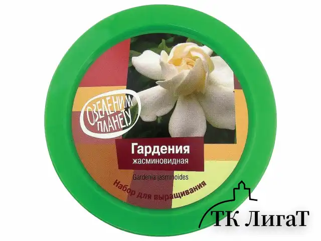 Набор для выращивания растений ВЫРАСТИ ДЕРЕВО! "Гардения" (банка, грунт, семена), zk-044