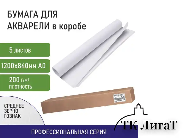 Бумага для акварели А0 (1200х840 мм), 5 листов, среднее зерно, 200 г/м2, ГОЗНАК, BRAUBERG ART CLASSIC, 114487