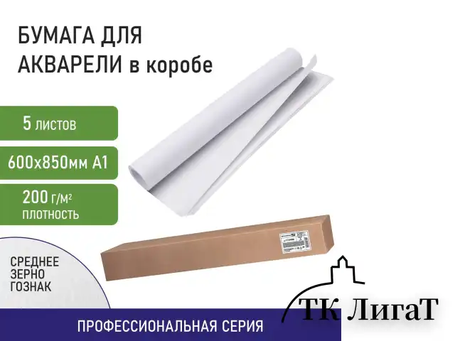 Бумага для акварели А1 (600х850 мм), КОМПЛЕКТ 5 листов, среднее зерно, 200 г/м2, ГОЗНАК, BRAUBERG ART, 114488
