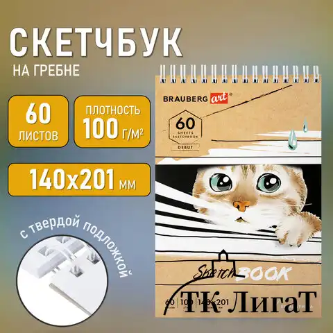 Скетчбук, белая бумага 100 г/м2, 140х201 мм, 60 л., гребень, жёсткая подложка, BRAUBERG ART, "Котик!, 115062