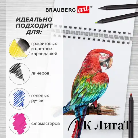 Скетчбук, белая бумага 100 г/м2, 140х201 мм, 60 л., гребень, жёсткая подложка, BRAUBERG ART, "Котик!, 115062