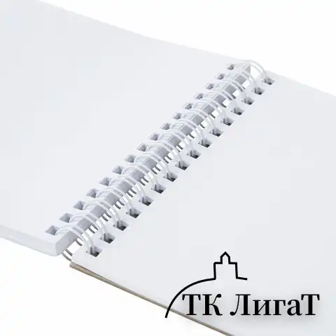 Скетчбук, белая бумага 100 г/м2, 140х201 мм, 60 л., гребень, жёсткая подложка, BRAUBERG ART, "Котик!, 115062
