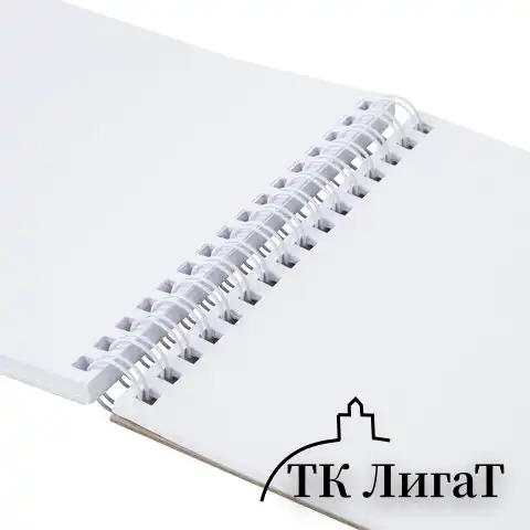 Скетчбук, белая бумага 100 г/м2, 140х201 мм, 60 л., гребень, подложка, BRAUBERG ART, "Порисуем", 115063
