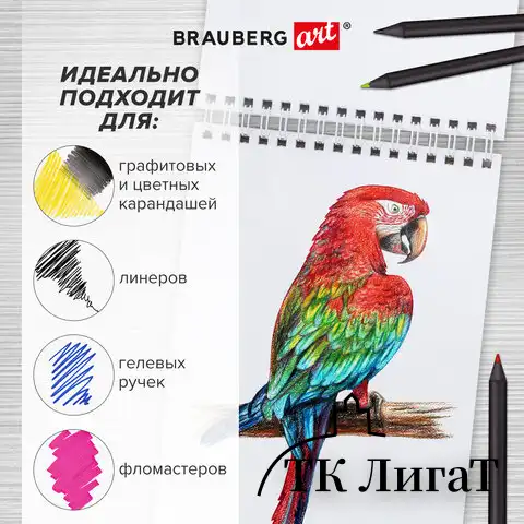 Скетчбук, белая бумага 100 г/м2, 140х201 мм, 60 л., гребень, подложка, BRAUBERG ART, "Порисуем", 115063