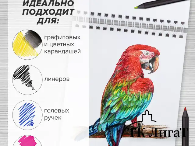 Скетчбук, белая бумага 100 г/м2, 140х201 мм, 60 л., гребень, жёсткая подложка, BRAUBERG ART, "Корги", 115064