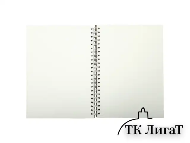 Скетчбук, 4 типа бумаги (акварельная, белая, черная, крафт) 146х204 мм, 60 л., гребень, BRAUBERG ART, 115066