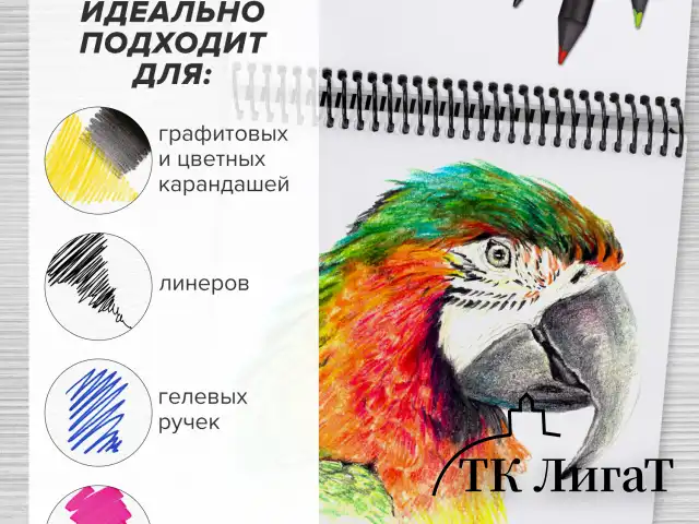 Скетчбук, белая бумага 120 г/м2, 190х190 мм, 80 л., гребень, жёсткая подложка, BRAUBERG ART, "Тигрр", 115068