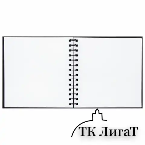 Скетчбук, белая бумага 160 г/м2, 190х190 мм, 60 л., гребень, твёрдая обложка ЧЕРНАЯ, BRAUBERG ART, 115074