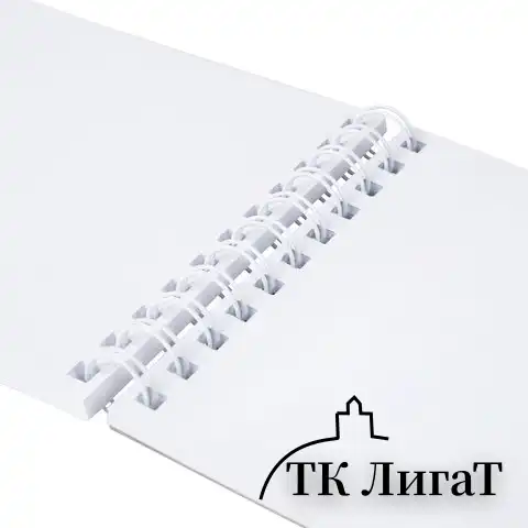 Скетчбук для маркеров, бумага 160 г/м2, 145х205 мм, 50 л., гребень, подложка, BRAUBERG ART CLASSIC, "Тигр", 115076