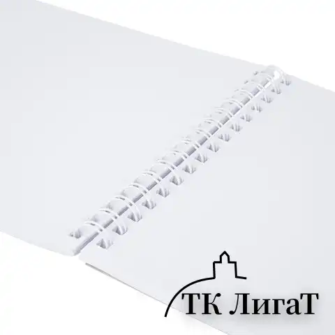 Скетчбук для маркеров, бумага 160 г/м2, 210х297 мм, 50 л., гребень, подложка, BRAUBERG ART CLASSIC, "Неон", 115077
