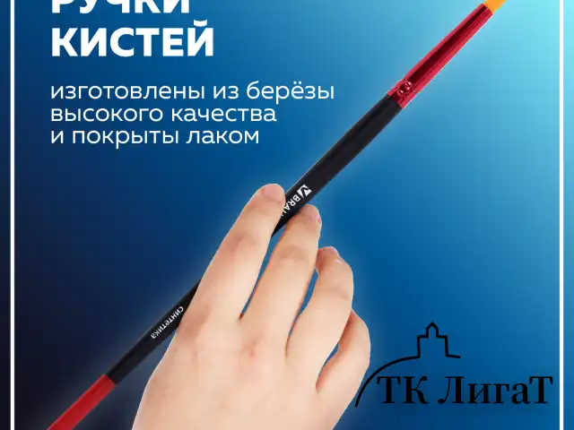 Кисти BRAUBERG PREMIUM, набор 5 шт. (синтетика, круглая № 1, 3, 5, плоская № 5, 8), блистер, 201024