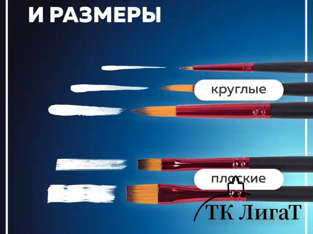 Кисти BRAUBERG PREMIUM, набор 5 шт. (синтетика, круглая № 1, 3, 5, плоская № 5, 8), блистер, 201024