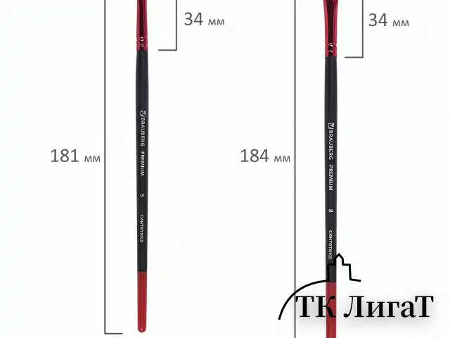Кисти BRAUBERG PREMIUM, набор 5 шт. (синтетика, круглая № 1, 3, 5, плоская № 5, 8), блистер, 201024