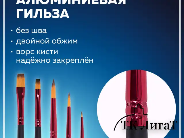 Кисти BRAUBERG PREMIUM, набор 5 шт. (синтетика, круглая № 1, 3, 5, плоская № 5, 8), блистер, 201024