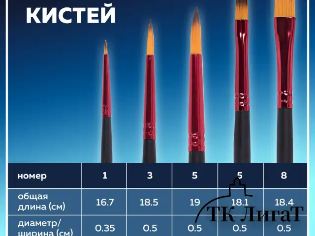 Кисти BRAUBERG PREMIUM, набор 5 шт. (синтетика, круглая № 1, 3, 5, плоская № 5, 8), блистер, 201024