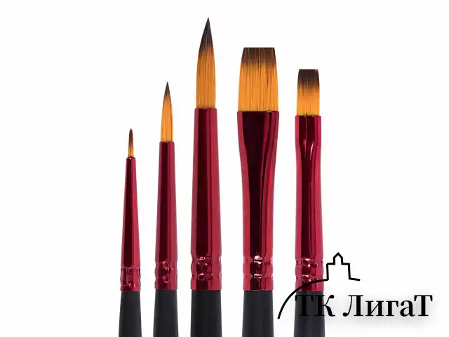 Кисти BRAUBERG PREMIUM, набор 5 шт. (синтетика, круглая № 1, 3, 5, плоская № 5, 8), блистер, 201024