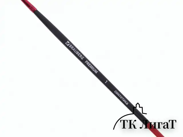 Кисти BRAUBERG PREMIUM, набор 5 шт. (синтетика, круглая № 1, 3, 5, плоская № 5, 8), блистер, 201024
