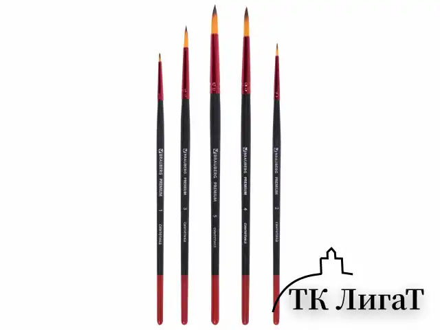 Кисти BRAUBERG PREMIUM, набор 5 шт. (синтетика, круглая № 1, 2, 3, 4, 5), блистер, 201025