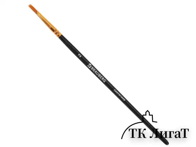 Кисти синтетика BRAUBERG, НАБОР 10 шт., черные (Круглые; Овальные; Плоские; Лайнеры), 201028