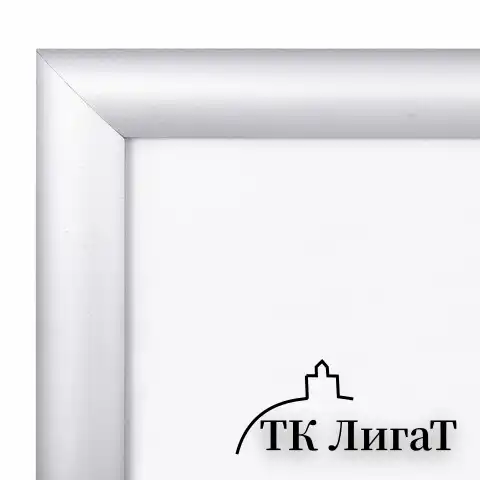Рамка настенная с "клик"-профилем А2 (420х594 мм), алюминиевый профиль, BRAUBERG "Extra", 238222