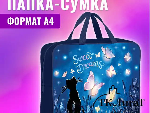 Папка на молнии с ручками BRAUBERG А4, 1 отделение, полиэстер, 80 мм, "Sweet dreams", 270959