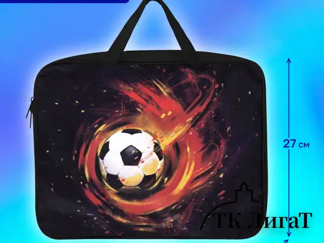Папка на молнии с ручками BRAUBERG А4, 1 отделение, полиэстер, 80 мм, "Fireball", 270962