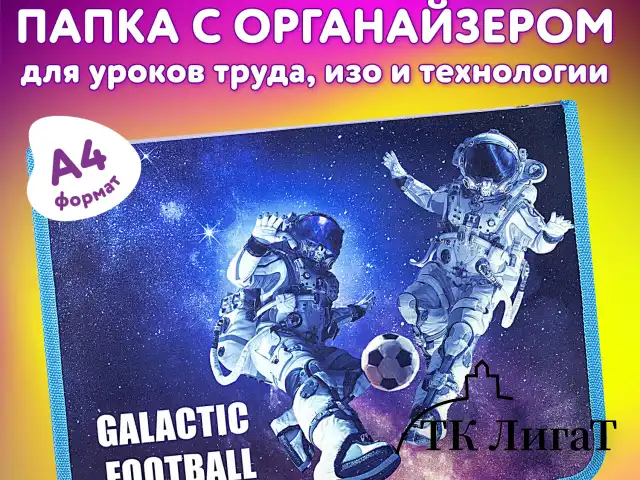 Папка для труда на молнии ЮНЛАНДИЯ А4, 1 отделение, откидная планка, органайзер, "Football", 270986