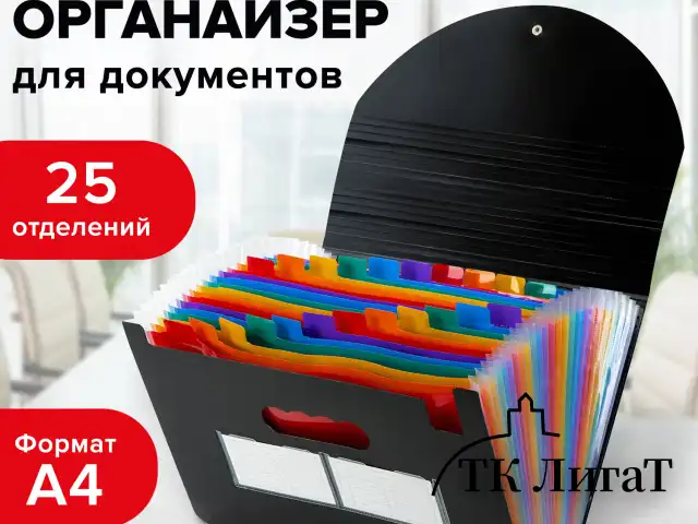 Папка-органайзер для бумаг и документов на резинке, 25 отделений, BRAUBERG DOCS, А4, черная, 271151