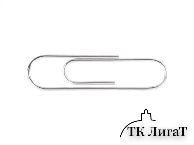 Скрепки EXTRA BRAUBERG 28 мм никелированные 100 штук, 271312