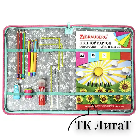 Папка для труда на молнии BRAUBERG А4 с ручкой, 1 отделение, органайзер, "Unicorn", 271447