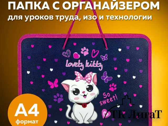 Папка для труда на молнии с ручками ПИФАГОР А4, 1 отделение, пластик, органайзер, "Positive kitty", 271472