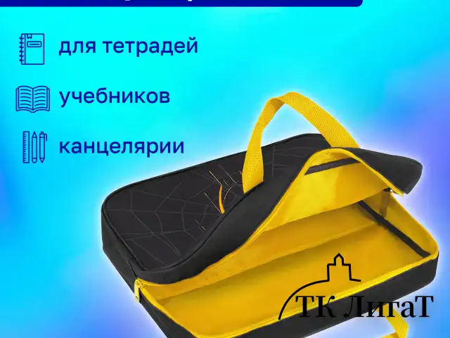 Папка на молнии с ручками BRAUBERG А4, 1 отделение, полиэстер, 80 мм, "Venomous spider", 271485