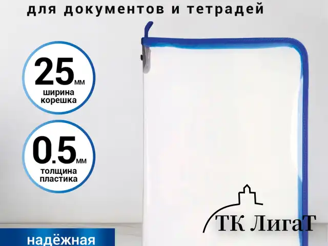 Папка для документов и тетрадей на молнии пластиковая BRAUBERG А4, 320х230 мм, прозрачная, 271713