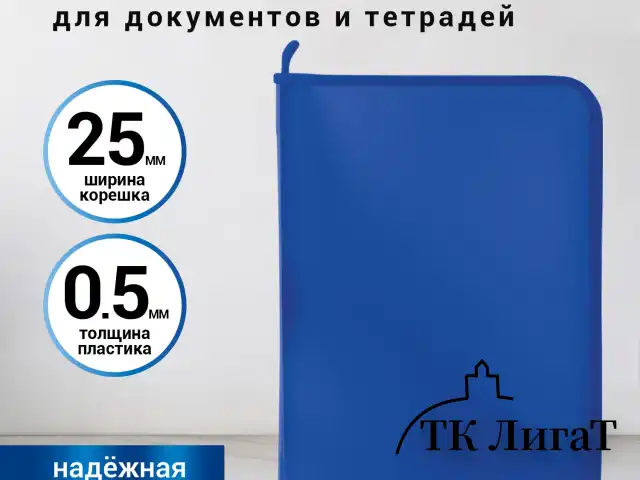 Папка для документов и тетрадей на молнии пластиковая BRAUBERG А4, 320х230 мм, синяя, 271715