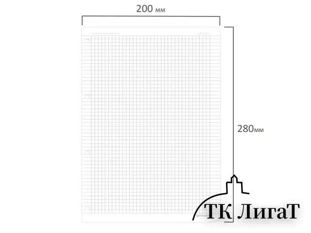 Сменный блок для тетради на кольцах БОЛЬШОЙ ФОРМАТ А4 120 л., BRAUBERG, ПОВЫШЕННОЙ ПЛОТНОСТИ, белый, 404516