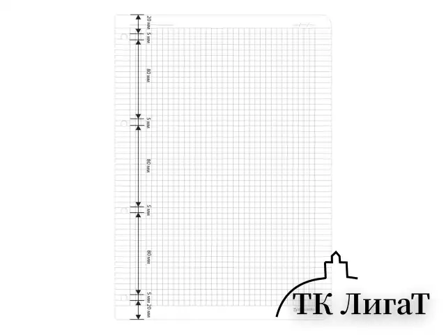 Сменный блок для тетради на кольцах БОЛЬШОЙ ФОРМАТ А4 120 л., BRAUBERG, ПОВЫШЕННОЙ ПЛОТНОСТИ, белый, 404516