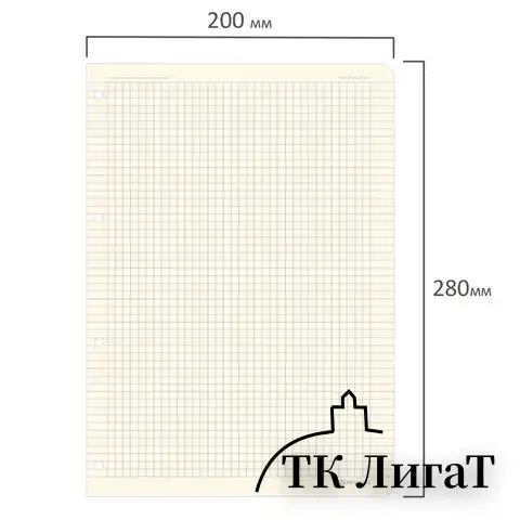 Сменный блок для тетради на кольцах БОЛЬШОЙ ФОРМАТ А4 120 л., BRAUBERG, ПОВЫШЕННОЙ ПЛОТНОСТИ, кремовый, 404517