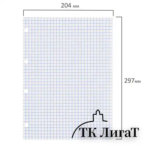 Сменный блок к тетради на кольцах БОЛЬШОГО ФОРМАТА А4, 120 л., BRAUBERG, Белый, 404518