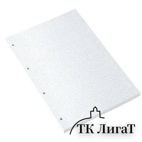 Сменный блок к тетради на кольцах БОЛЬШОГО ФОРМАТА А4, 120 л., BRAUBERG, Белый, 404518