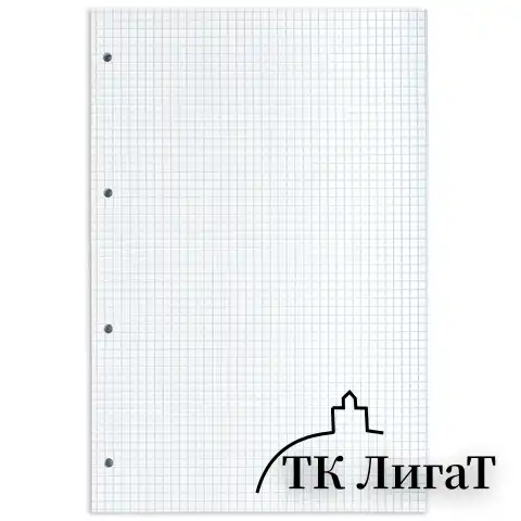 Сменный блок к тетради на кольцах БОЛЬШОГО ФОРМАТА А4, 120 л., BRAUBERG, Белый, 404518
