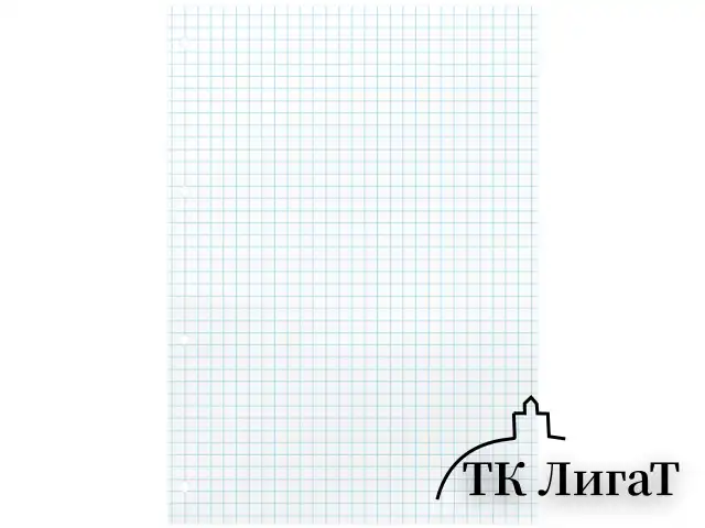 Сменный блок для тетради на кольцах А5, 80 л., BRAUBERG, "Белый", 404612