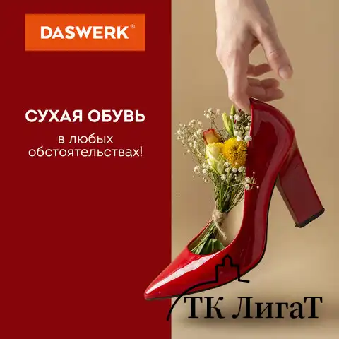 Сушилка для обуви электрическая с подсветкой, сушка для обуви, 15 Вт, DASWERK, SD6, 456199