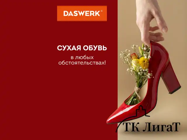 Сушилка для обуви электрическая с таймером, USB-разъём, сушка для обуви, 9 Вт, DASWERK, SD9, 456202