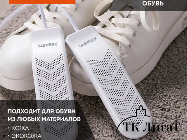 Сушилка для обуви электрическая с таймером, USB-разъём, сушка для обуви, 9 Вт, DASWERK, SD9, 456202